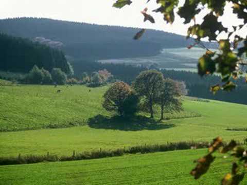 Im schönsten Wiesengrunde